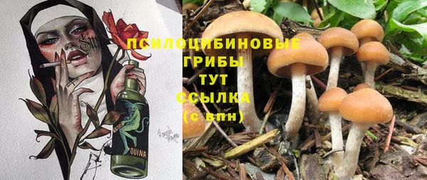 трава Балабаново