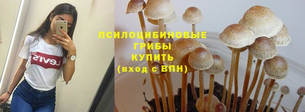 spice Баксан