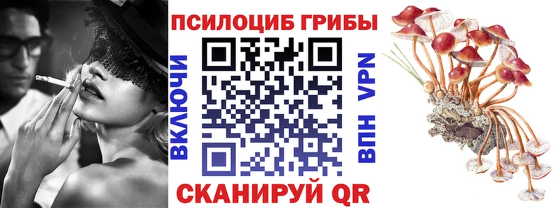 Галлюциногенные грибы MAGIC MUSHROOMS  гидра ССЫЛКА  Бутурлиновка  купить наркотик 